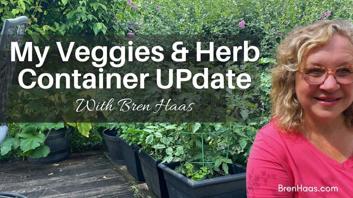 My Veggie Container Garden Update