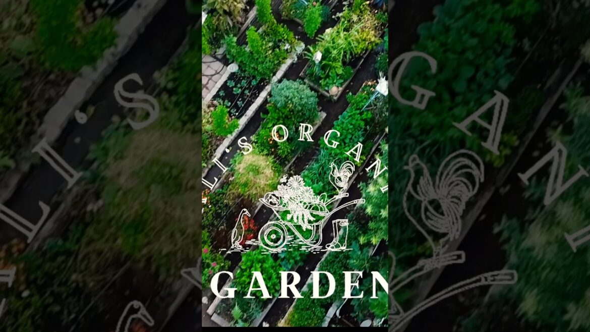 Should You Use Till or No Till Gardening Method #gardening #notillgardening