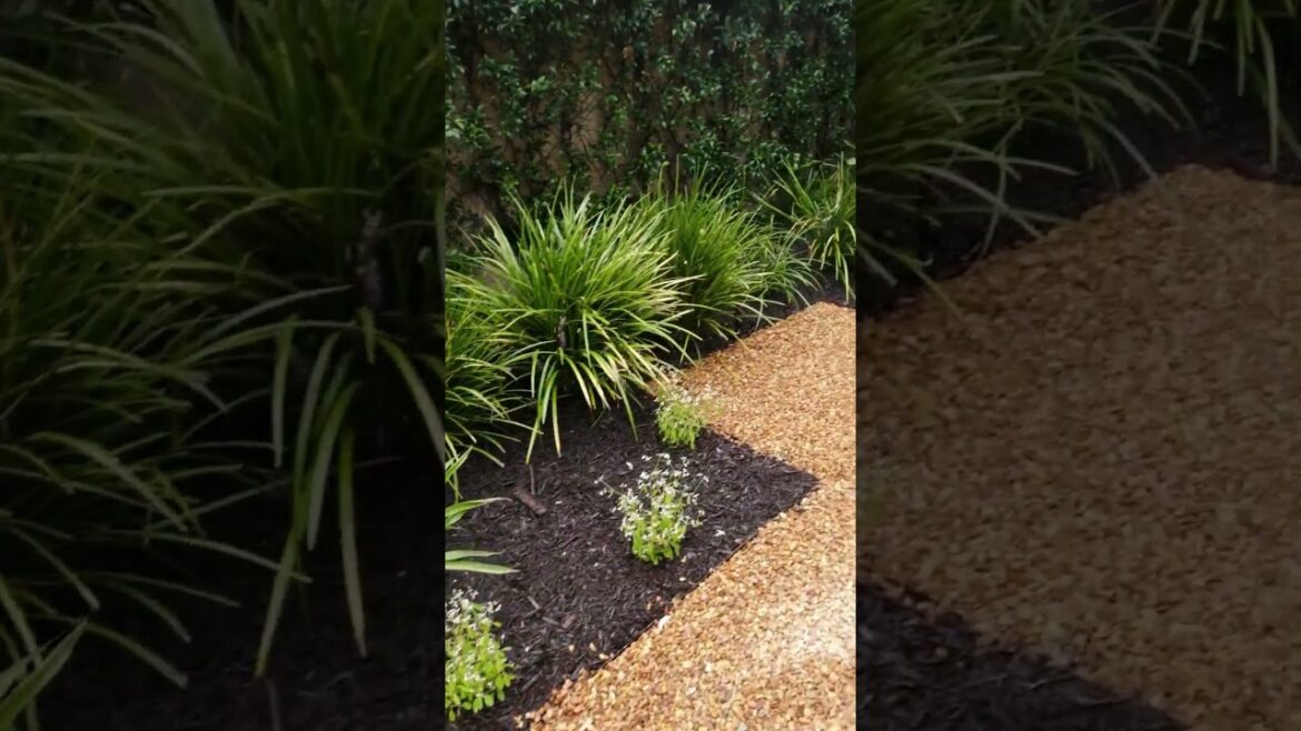 Elevate your garden’s potential with our tailor-made irrigation plans #irrigation #capetown #garden Elevate your garden's potential with our tailor-made irrigation plans #irrigation #capetown #garden