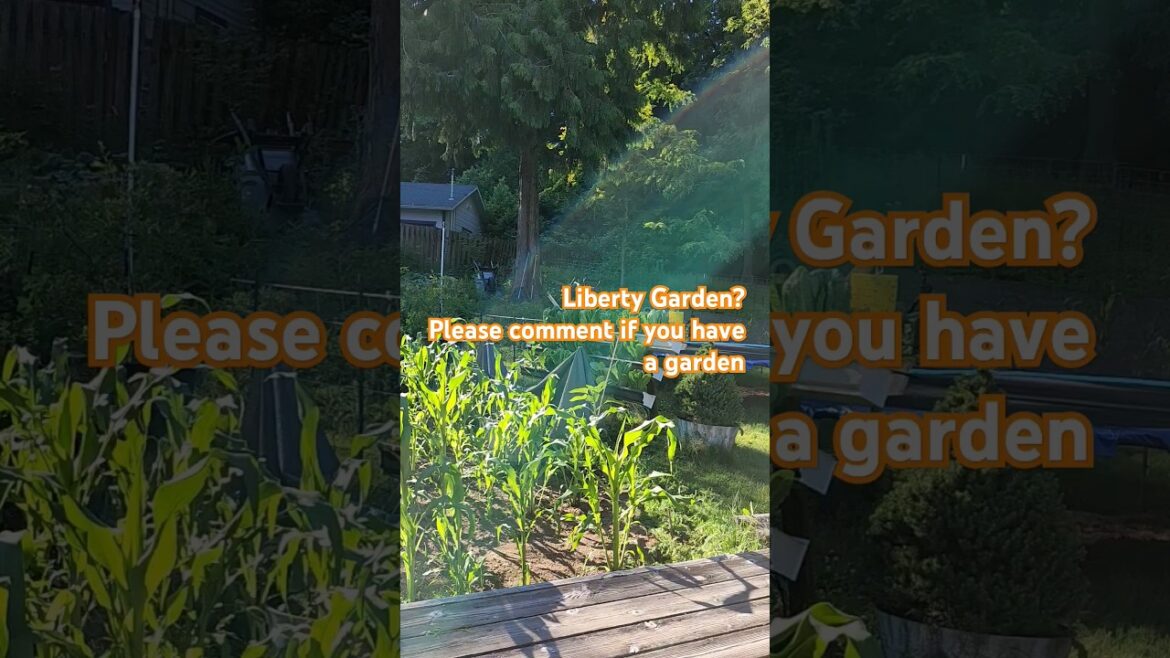 When You Don't Trust the Food Supply | Liberty Garden