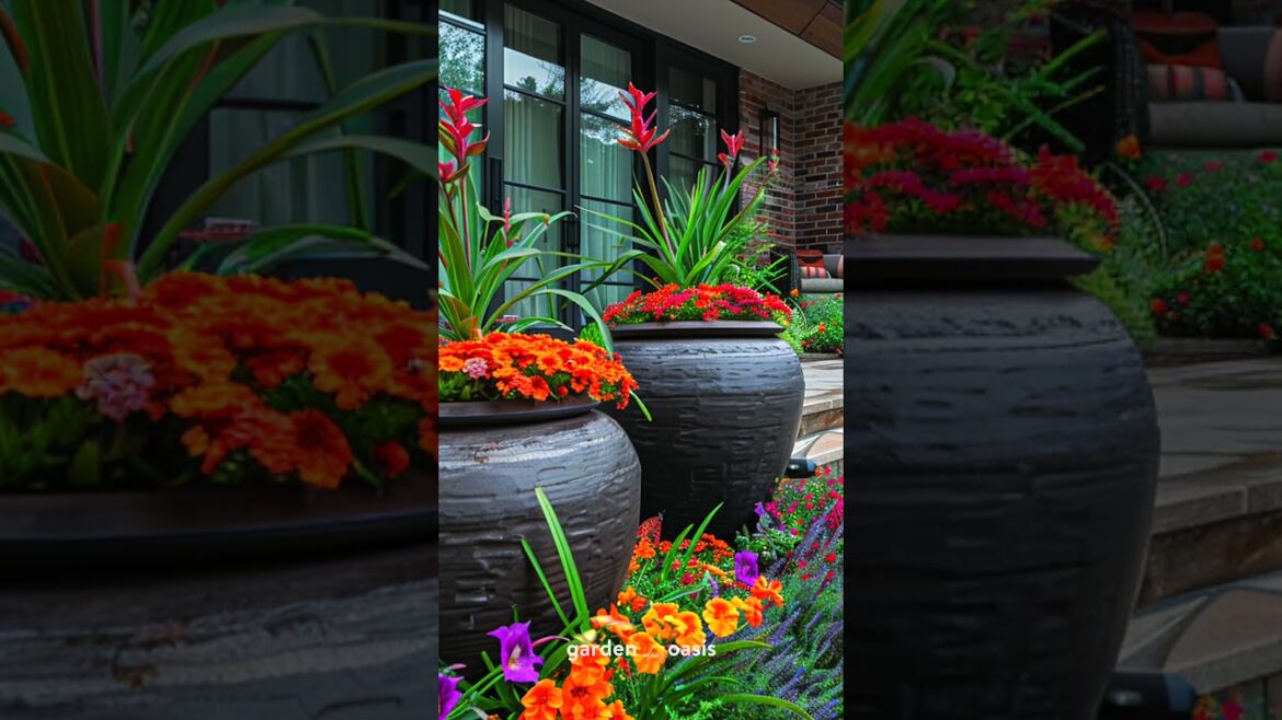 Front Yard Landscape Ideas p.13 #garden #backyardgardendesign #shorts