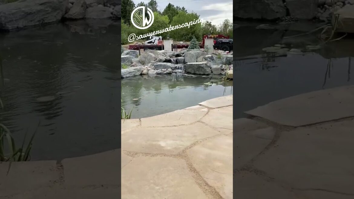 Backyard Oasis! #shorts #koipond #golf