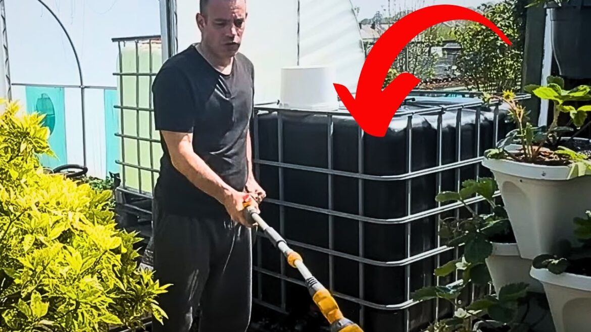 20 Rainwater Tips That Any Gardener Can Use – Beginner Or Pro 20 Rainwater Tips That Any Gardener Can Use - Beginner Or Pro