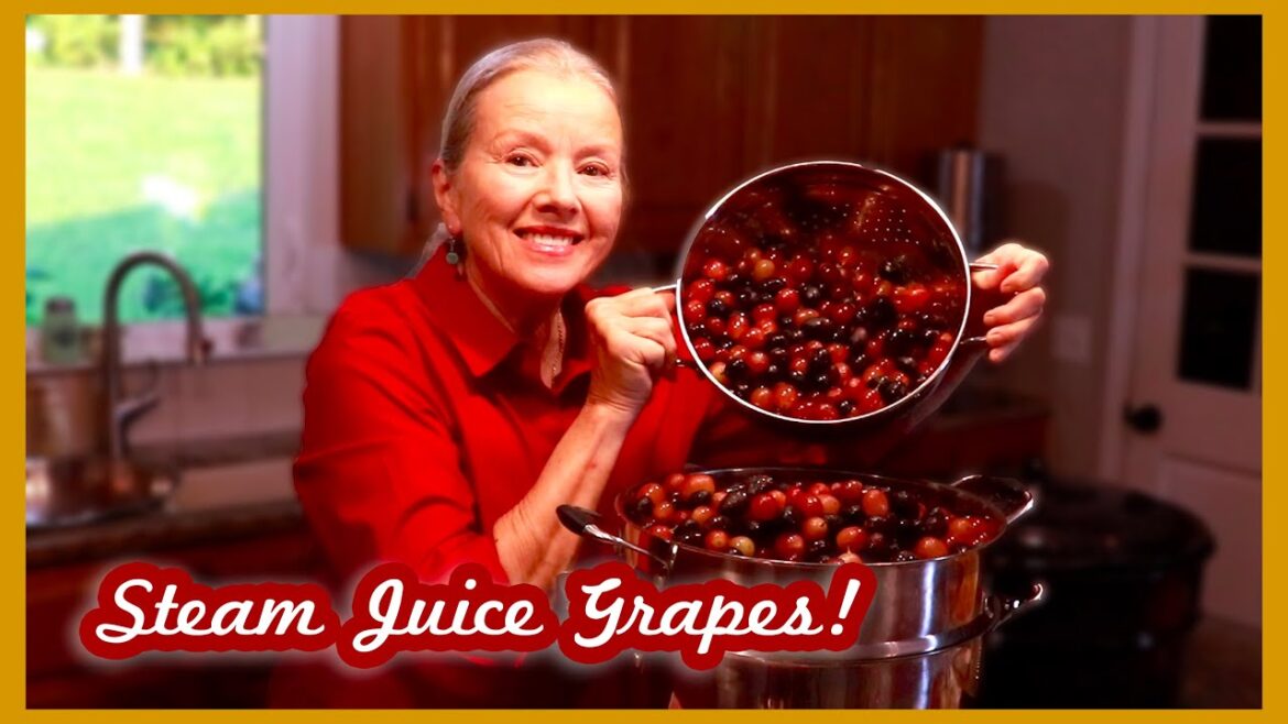 How to Steam Juice Grapes | COMPLETE INSTRUCTIONS!