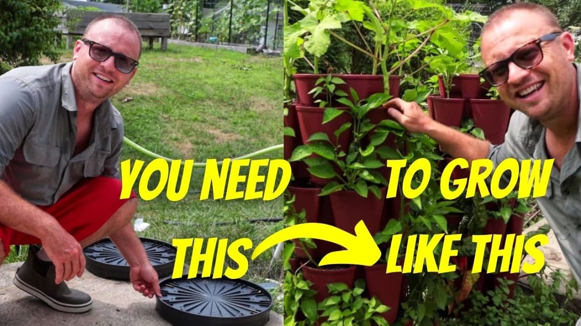 Don’t Make This Mistake Installing Your Greenstalk Planter!