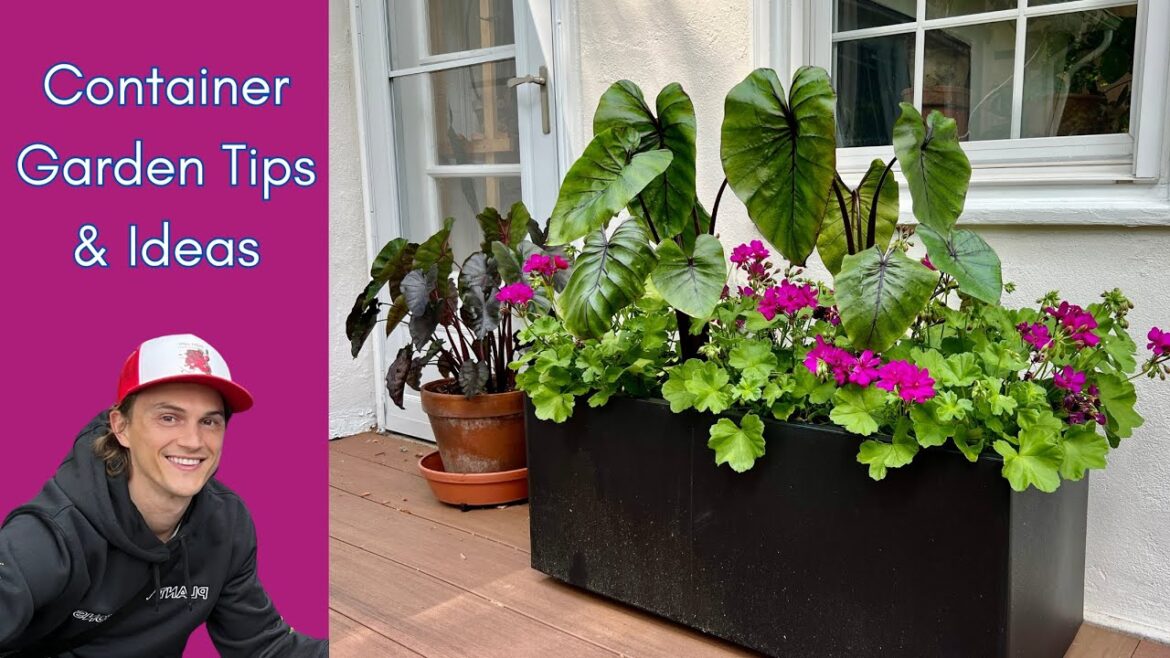 Container Garden Tips, Ideas & Suggestions - Low Maintenance Potted Plants Outdoors