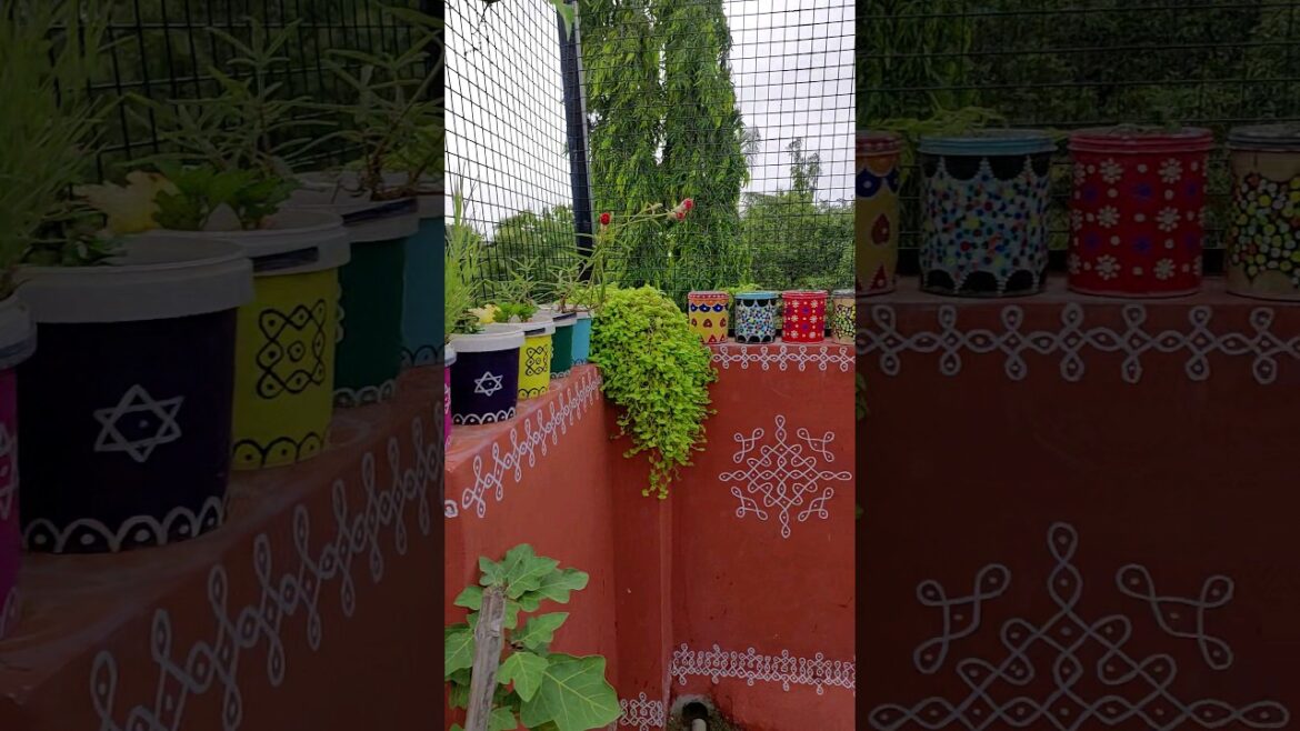 my beautiful terrace garden #rooftopgarden #gardening #gardentips #viralvideo #plants