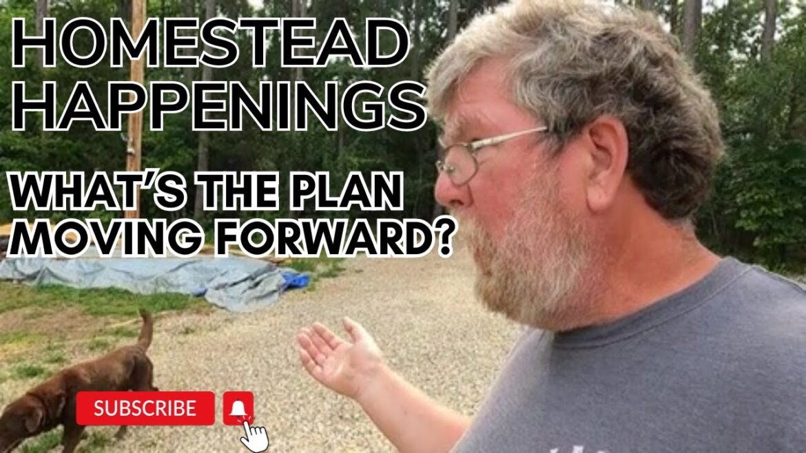 WE’VE GOT BIG PLANS. Homestead, Update, DIY, RV Living, SawMill, Garden, Repairs, Tiny House, Peace. WE'VE GOT BIG PLANS. Homestead, Update, DIY, RV Living, SawMill, Garden, Repairs, Tiny House, Peace.