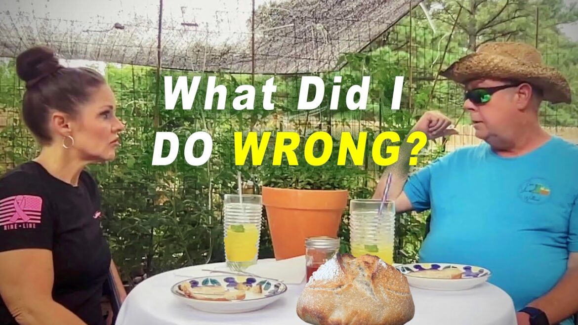 Help My Garden! Expert Advice For My Veggie Patch