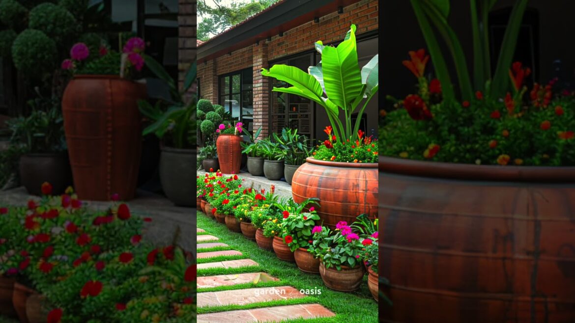 Front Yard Landscape Ideas p.19 #garden #backyardgardendesign #shorts