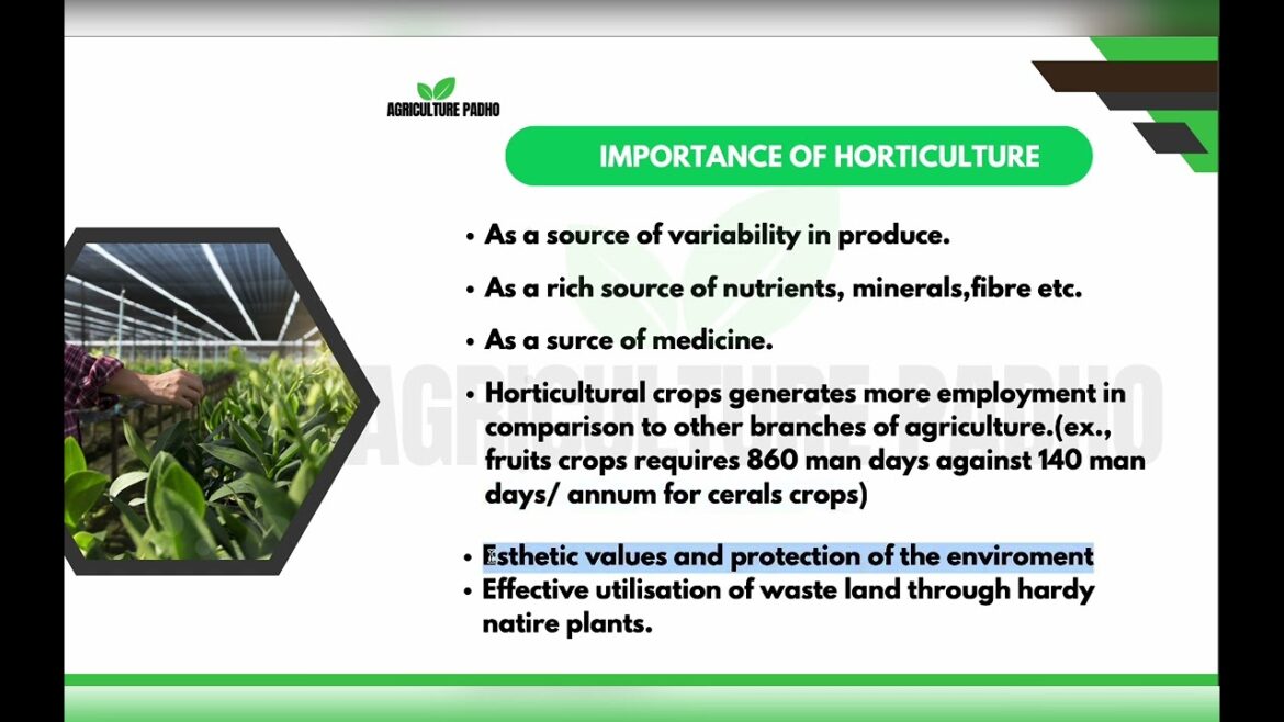What is Horticulture ?l Scope of horticulture l What is Horticulture ?l Scope of horticulture l