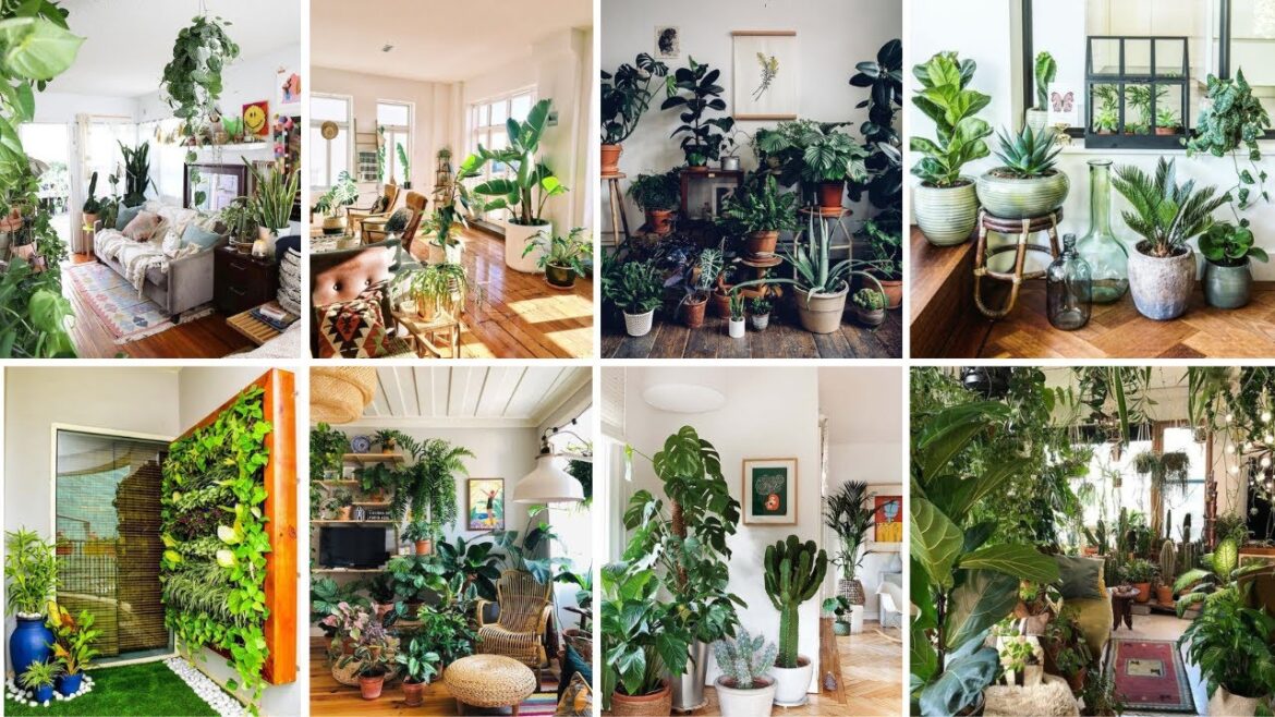 50 + Stunning Indoor Garden Design Ideas To Transform Your Space  🌿✨. @decorabout