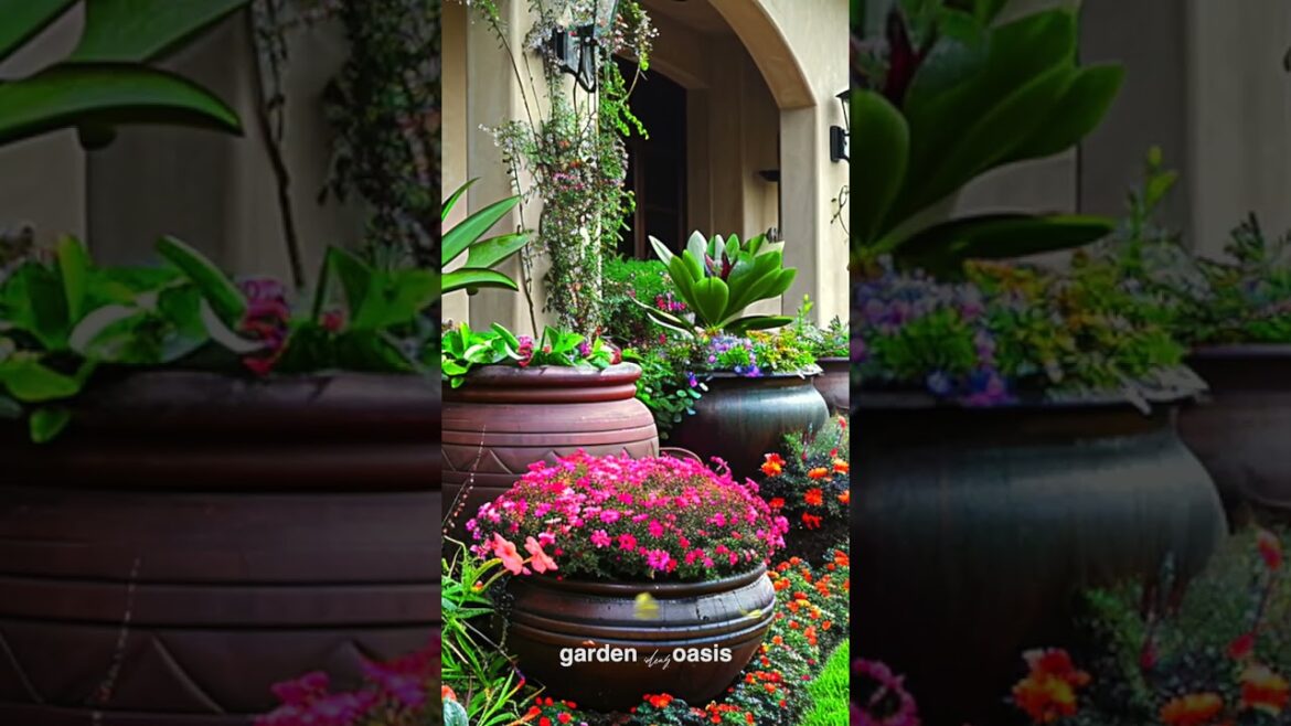 Front Yard Landscape Ideas p.67 #garden #shorts #frontyarddesign