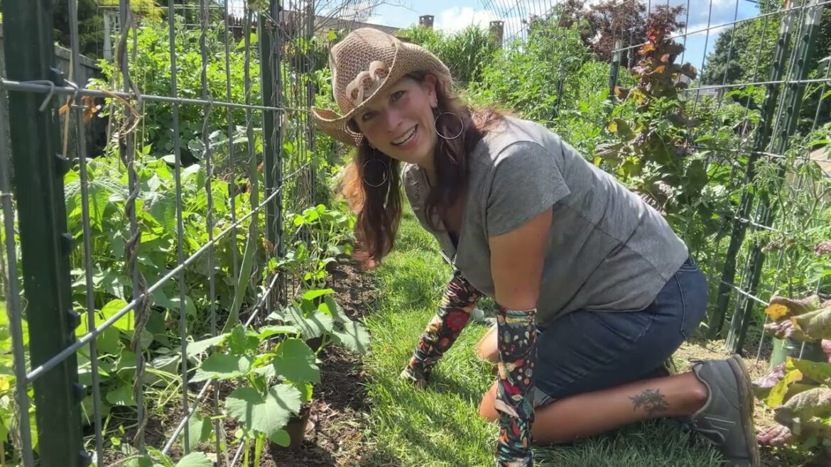 Working the Vegetable Garden to Grow MORE Food! #vegetablegardening Working the Vegetable Garden to Grow MORE Food! #vegetablegardening