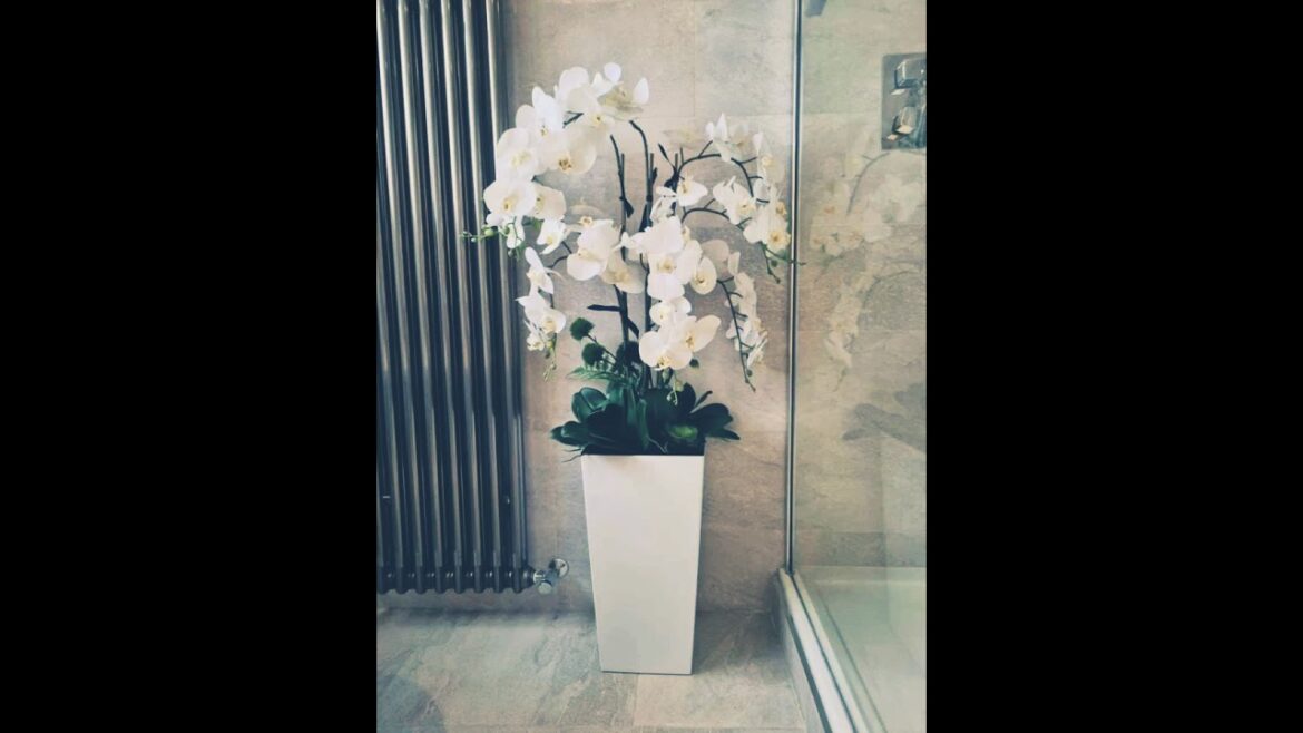 P1 Plant Design|Home Decoration ideas With Plants|Flower pots|D For Design#flowerpotideas#flowerpot