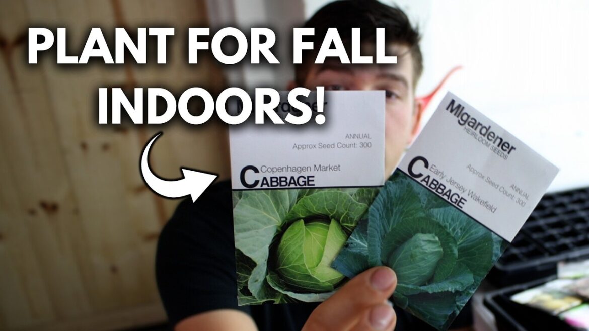 Start These Crops NOW in August!