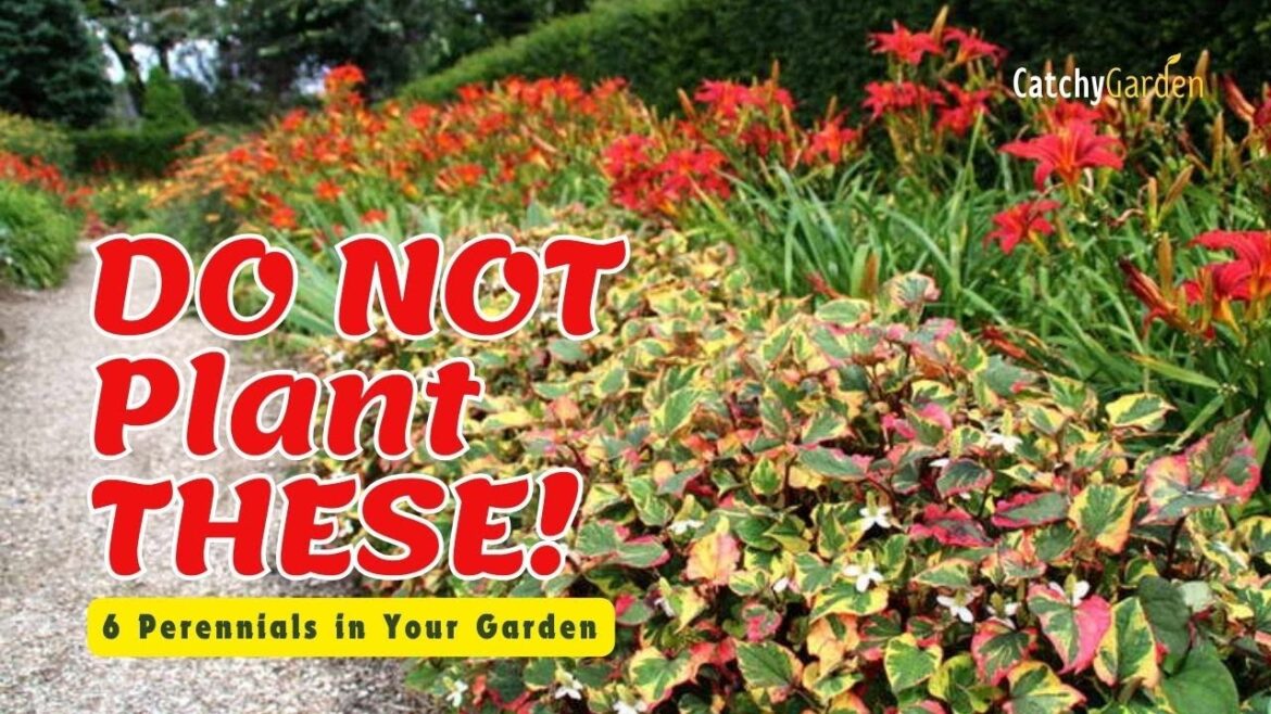 π« DO NOT Plant THESE 6 Perennials in Your Garden! πΈ // Gardening Tips π« DO NOT Plant THESE 6 Perennials in Your Garden! πΈ // Gardening Tips