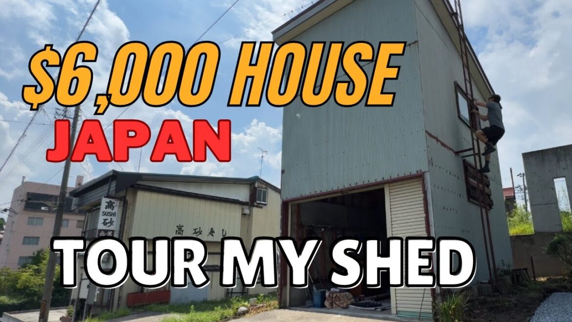 You’ve seen the house now see the shed before I renovate You’ve seen the house now see the shed before I renovate