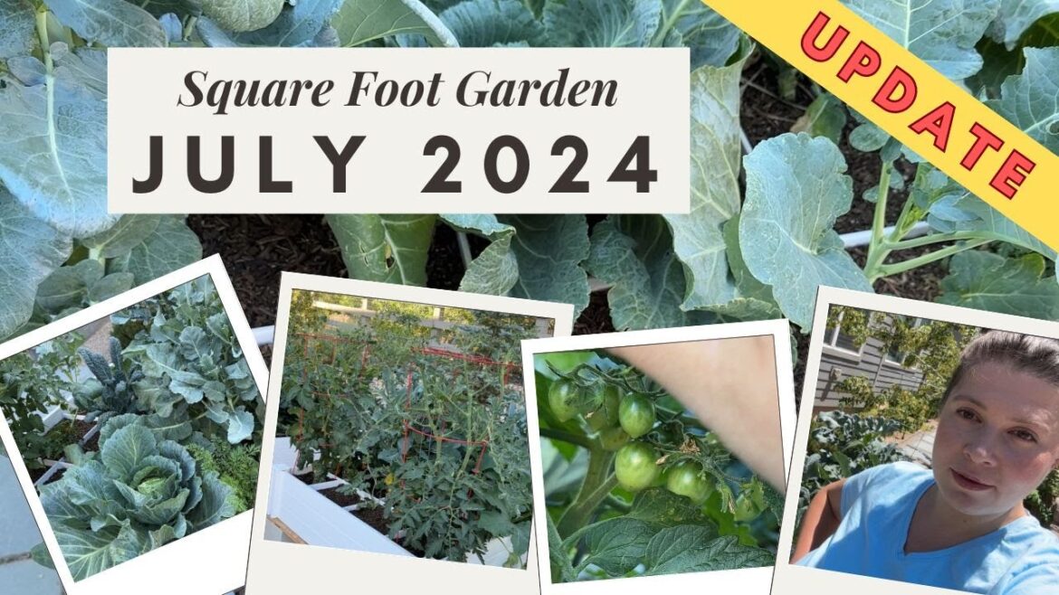 Raised Bed Gardening: July Update & Square Foot Garden Tips! #homegrowngardens #beginninggardening