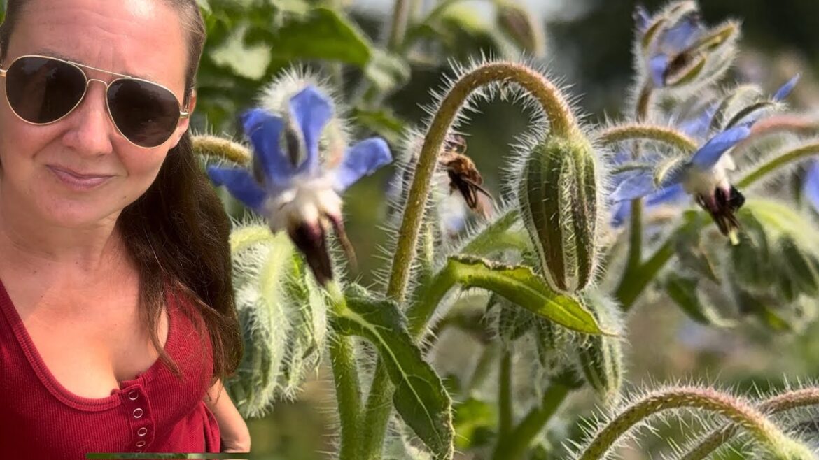 EVERY GARDEN NEEDS THIS PLANT EVERY GARDEN NEEDS THIS PLANT