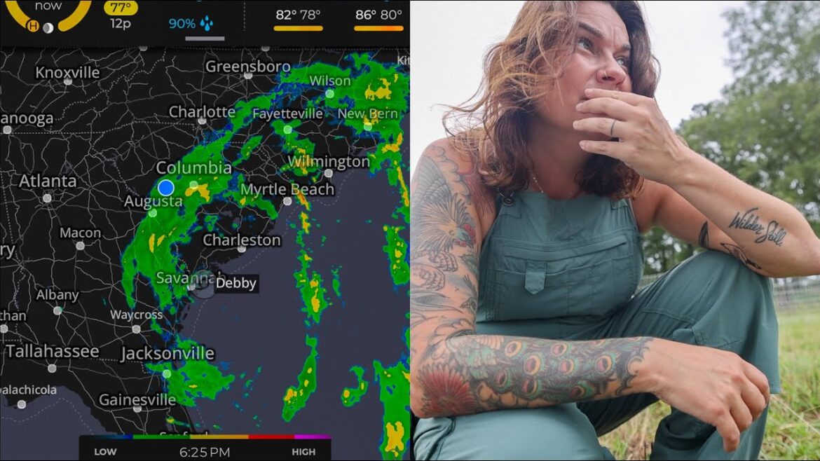 Soaked by Deb (And new baby lambs) | VLOG