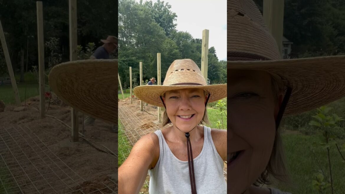 Building Garden Walls #gardening #garden #gardendesign