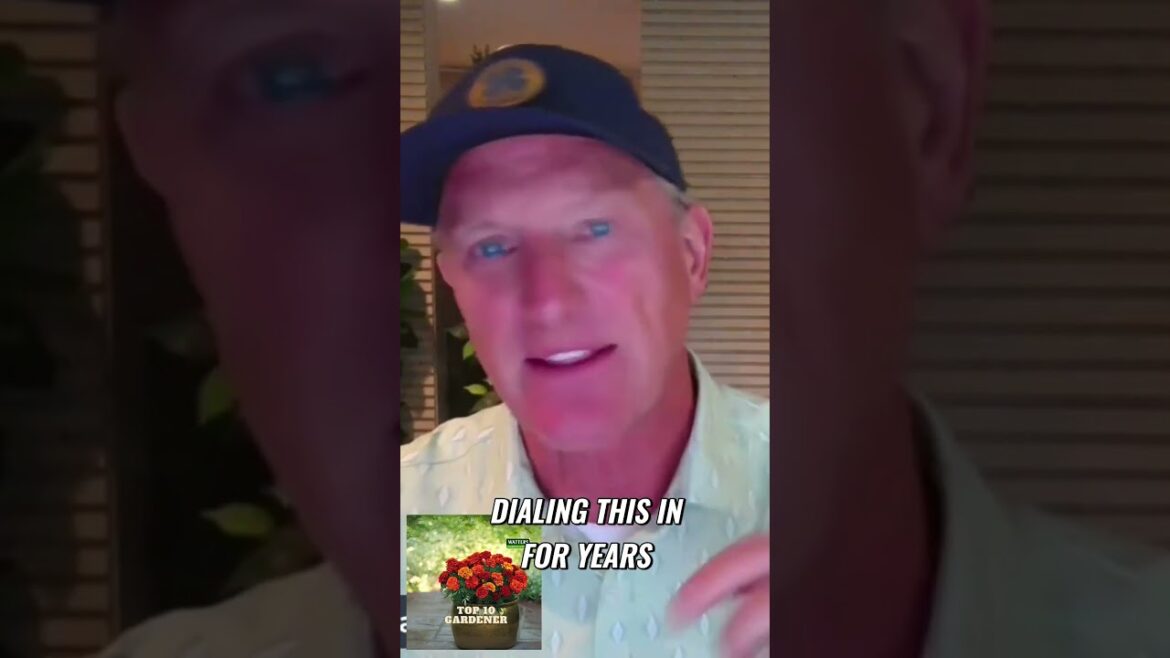 Discover the Future of Gardening Discover the Future of Gardening