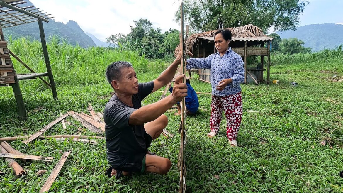 Daily life of the disabled family - Vegetable gardening growing vegetables - Make bamboo cupboard