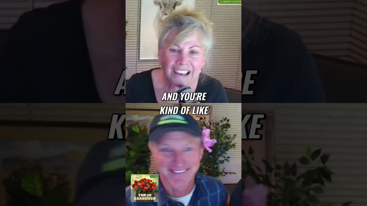 Blooming Beauties  - Top Drought Hardy Plants for Your Garden!