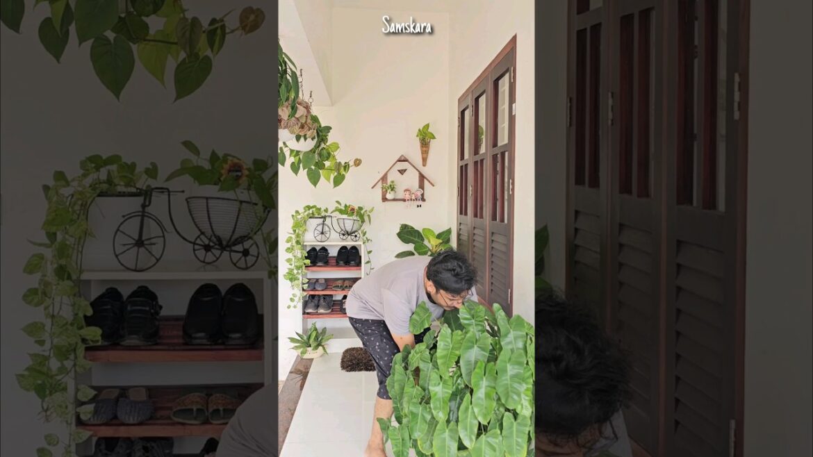 My foyer space | Shoe Cabinet Organization | Samsakara #home #homedecor #homegardens #decor #garden