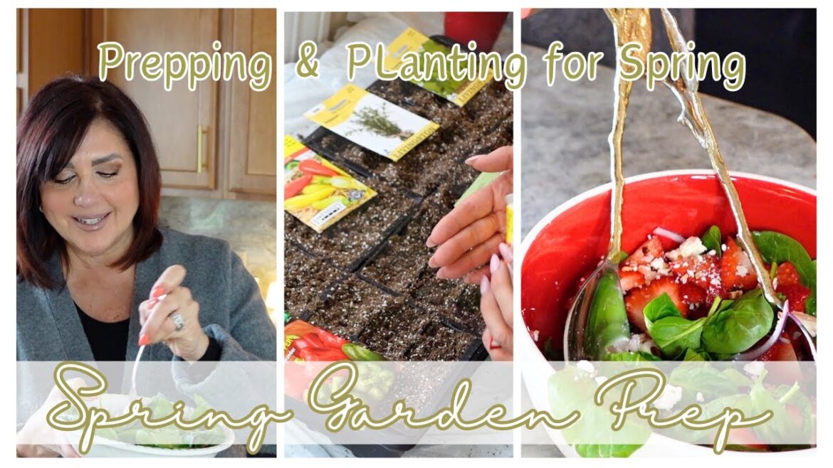 🪴Spring Garden Prep | Shopping for New Garden Supplies | Seed Sowing | 🍓Delicious Strawberry Salad