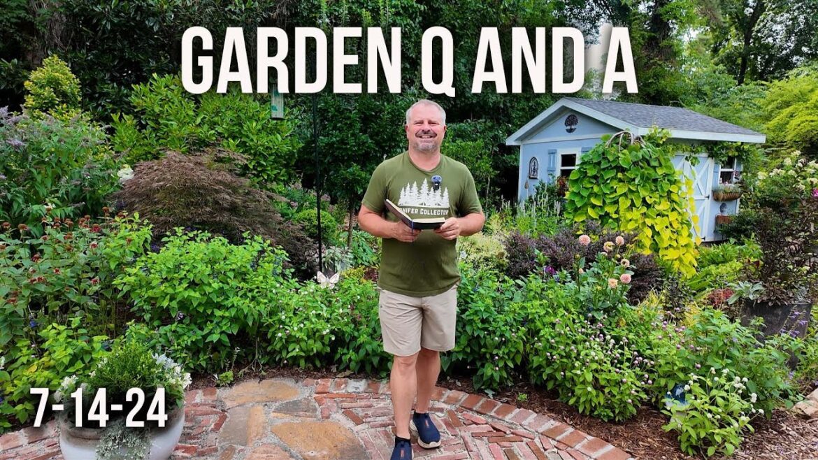 Great Gardening Questions Answered - Summer Heat, Hydrangea Not Blooming, Woodchips, Pruning