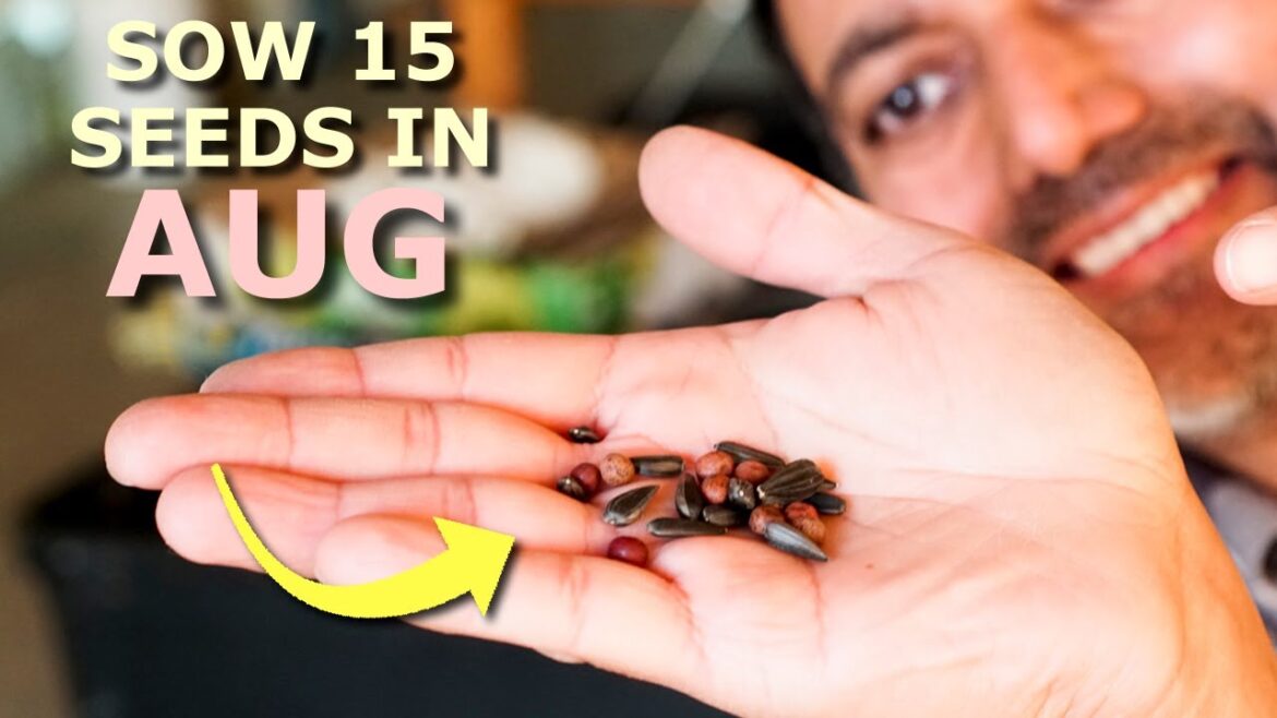 15 Seeds You MUST Grow in August 15 Seeds You MUST Grow in August