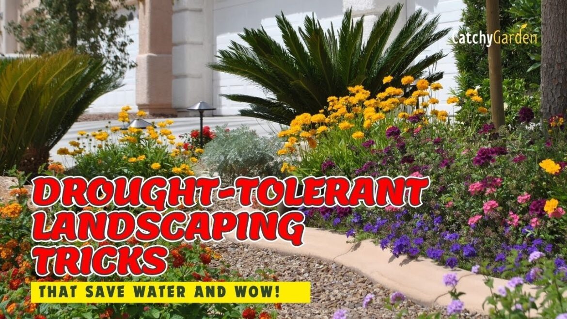 TOP 7 DROUGHT-TOLERANT LANDSCAPING TRICKS THAT SAVE WATER AND WOW! 🏡🌵🌷 // Gardening Ideas