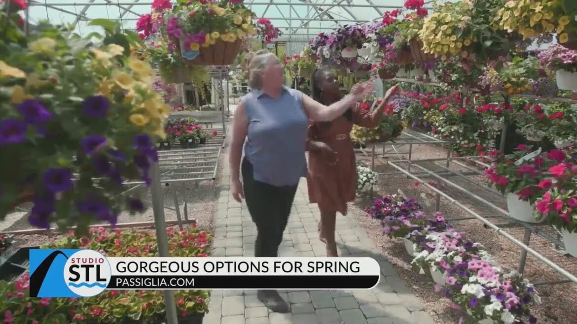 Passiglia Landscape, Nursery & Garden Center: Stop and smell the roses today