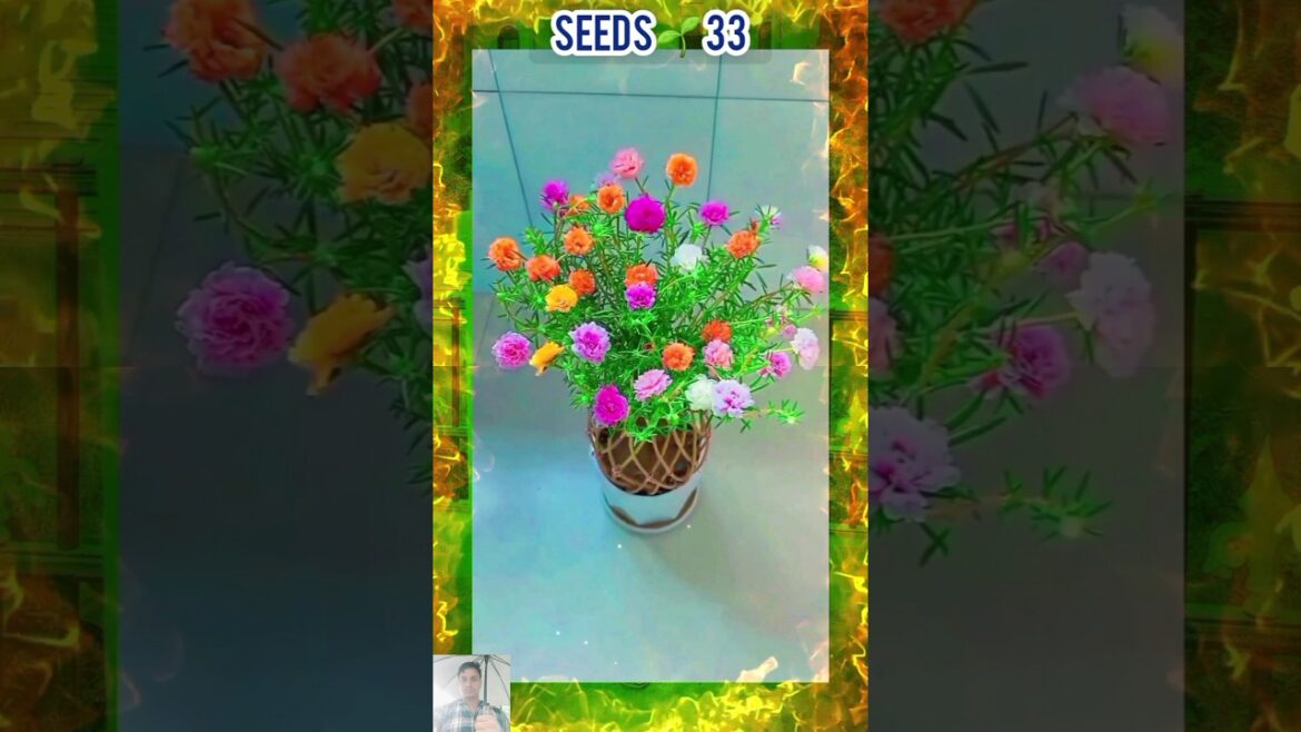 Styles home garden ideas plants_flowers #short #garden #flower #bottlegarden #seedsplants33 Styles home garden ideas plants_flowers #short #garden #flower #bottlegarden #seedsplants33