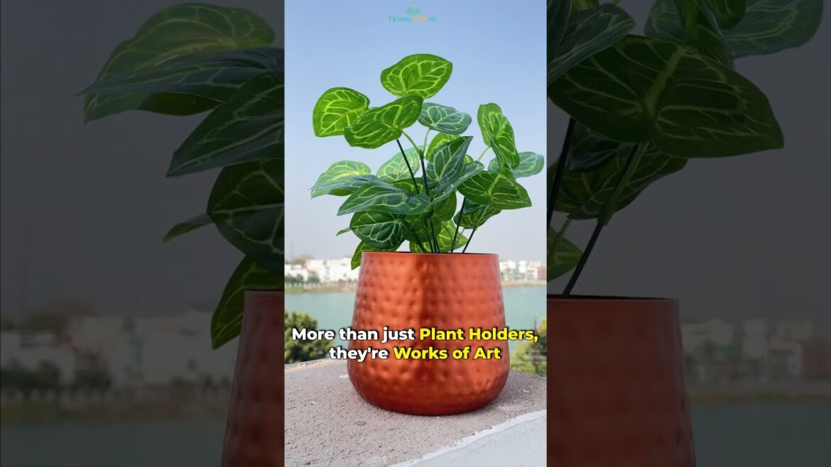 🏡✨ 𝐔𝐩𝐠𝐫𝐚𝐝𝐞 𝐘𝐨𝐮𝐫 𝐇𝐨𝐦𝐞 𝐃𝐞𝐜𝐨𝐫 𝐄𝐟𝐟𝐨𝐫𝐭𝐥𝐞𝐬𝐬𝐥𝐲!  by Home BAEsic #homeandgarden #gardening #interiordesign