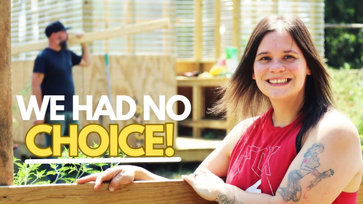 PLANS for the BUILD  needed TO CHANGE! | Shed To House Conversion