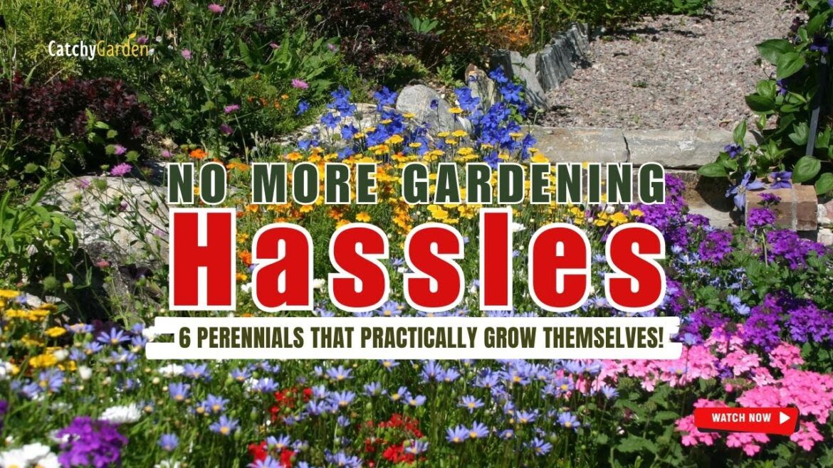 ๐ซ NO MORE Gardening Hassles: 6 PERENNIALS THAT PRACTICALLY GROW THEMSELVES! ๐ท๐ผ๐บ ๐ซ NO MORE Gardening Hassles: 6 PERENNIALS THAT PRACTICALLY GROW THEMSELVES! ๐ท๐ผ๐บ