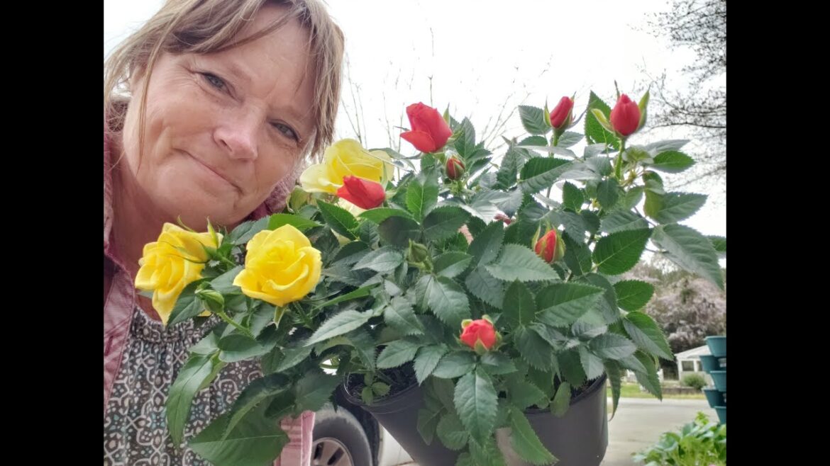 Went Shopping For Garden Supplies