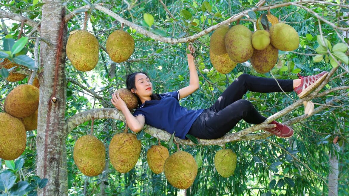 lucia harvesting quả vả to market sell vegetable gardening! lucia’s daily life lucia harvesting quả vả to market sell vegetable gardening! lucia's daily life