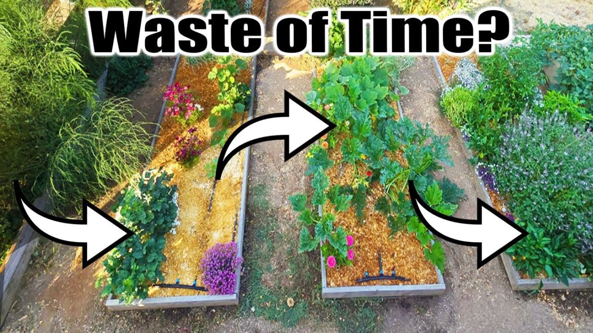 Is Rotating Crops Necessary for the Vegetable Garden?