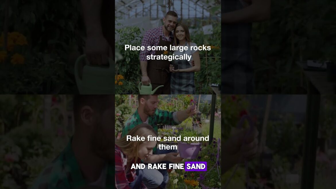 Creating a Relaxing Zen Garden in a Small Area  #gardening