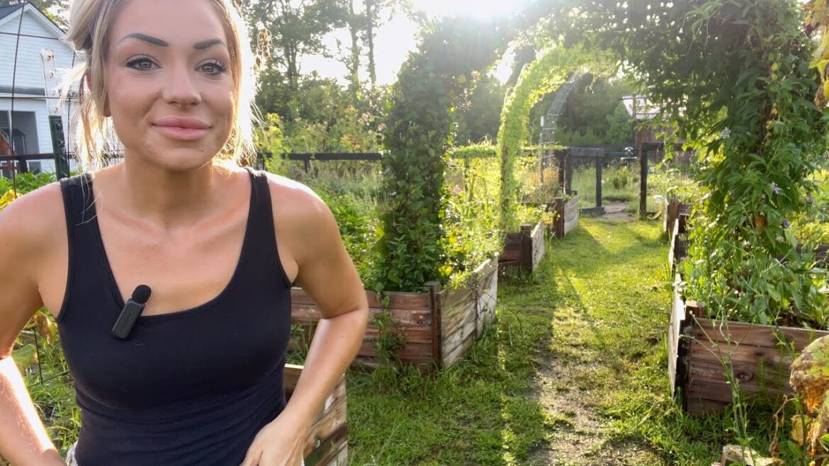 Losing the Great War: A Homesteading Garden Tour