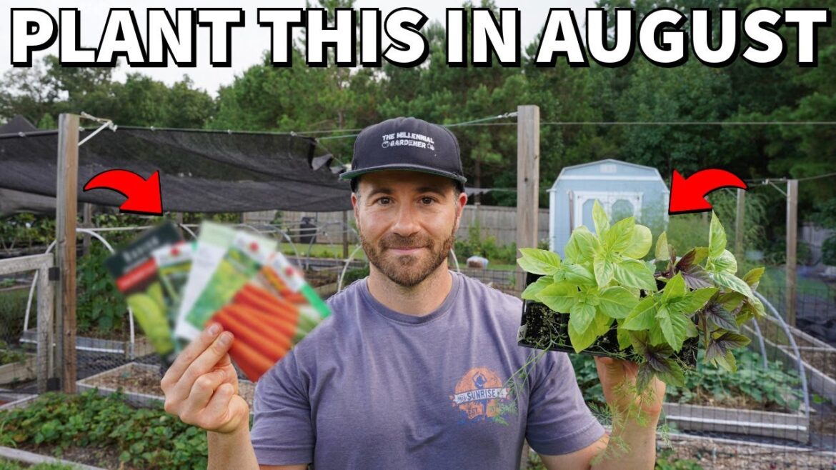 33 AWESOME VEGGIES You Should Plant In August RIGHT NOW! 33 AWESOME VEGGIES You Should Plant In August RIGHT NOW!