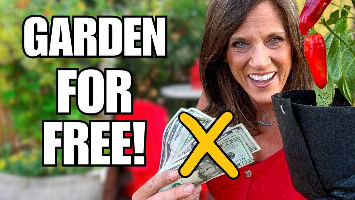 CaliKim: Free/Cheap Gardening: 5 Must-Know Tips Free/Cheap Gardening: 5 Must-Know Tips