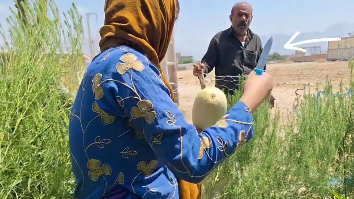 The second woman who wants to deceive the grandfather with her plans The second woman who wants to deceive the grandfather with her plans