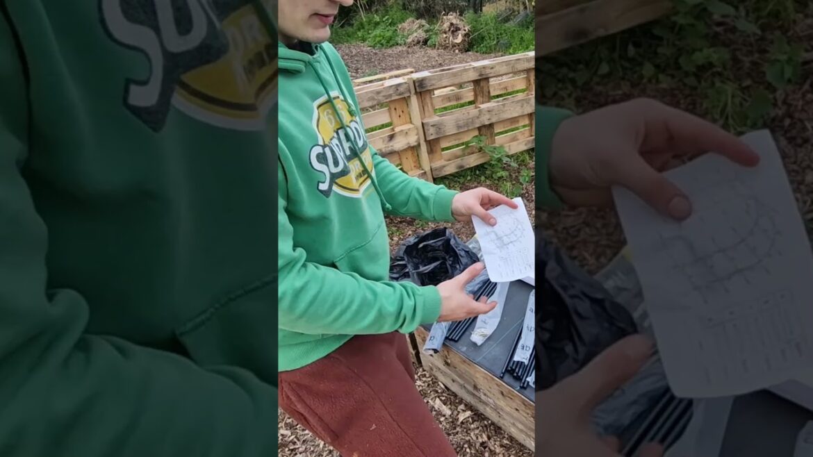 Garden Arch Plans – Alfie’s Agriculture #allotment #gardening #uk #shorts #diy Garden Arch Plans - Alfie's Agriculture #allotment #gardening #uk #shorts #diy