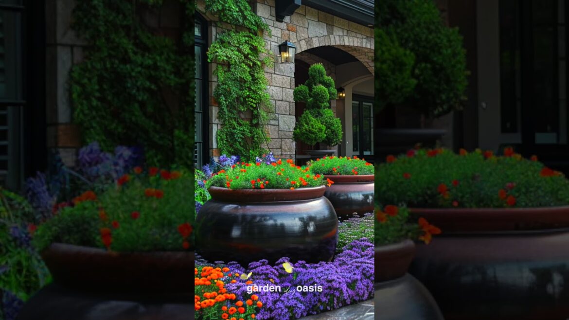 Front Yard Landscape Ideas p.55 #garden #shorts #frontyarddesign