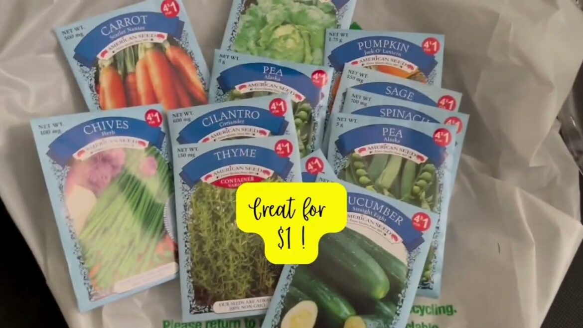 Dollar Tree Garden Supplies Shopping Haul Plant Planters Seed Starter Kits Affordable Plant Supplies